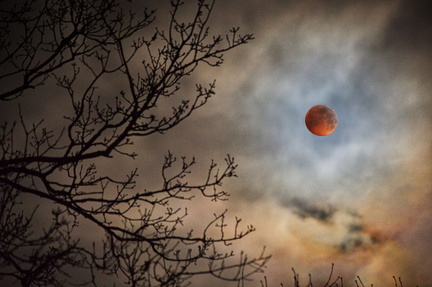 Blood Moon eclipse Q JK5D0244